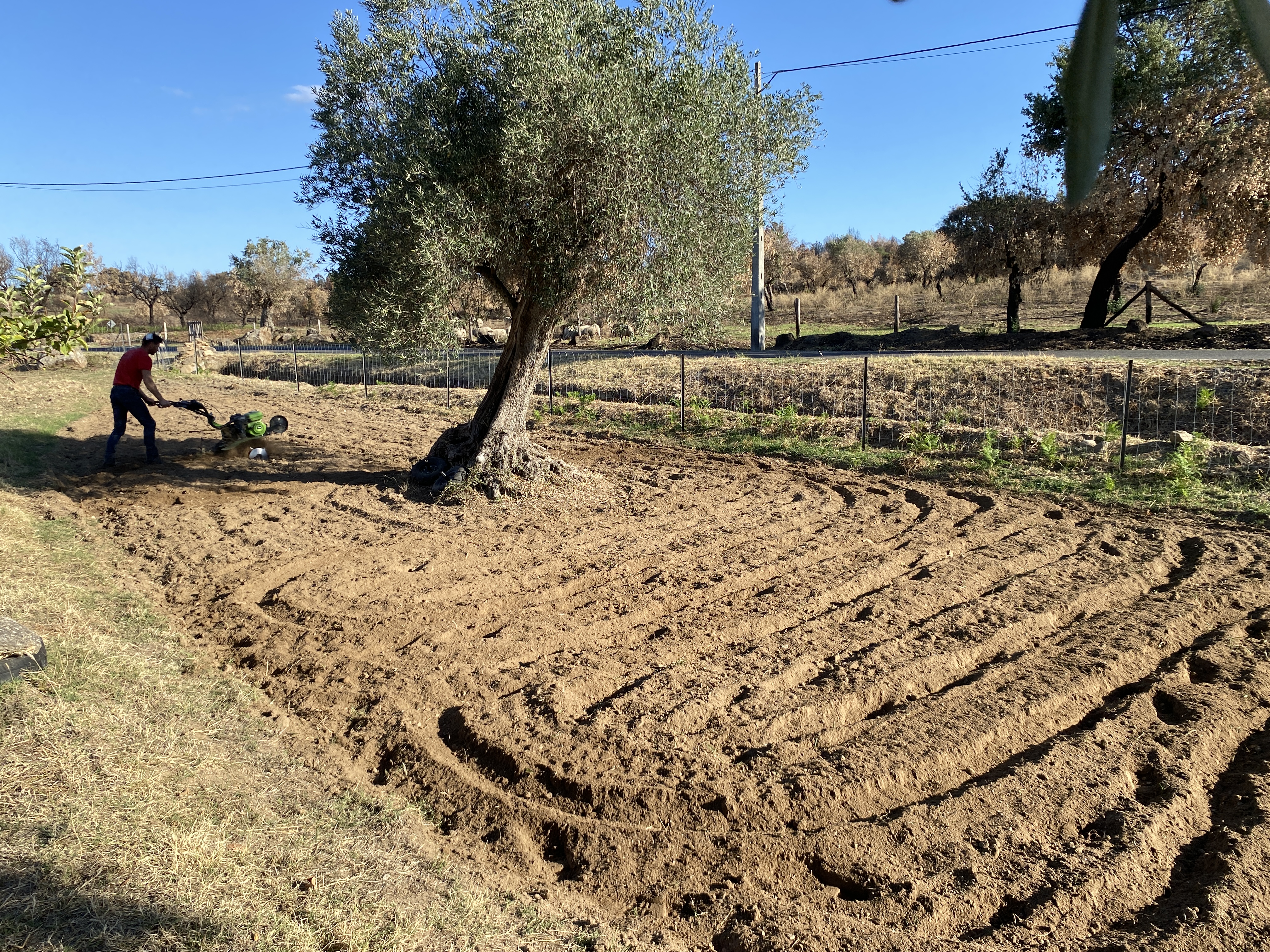 Fencing the Heart of the Land